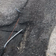 Image for article titled The Google Stadia Backlash Has Begun